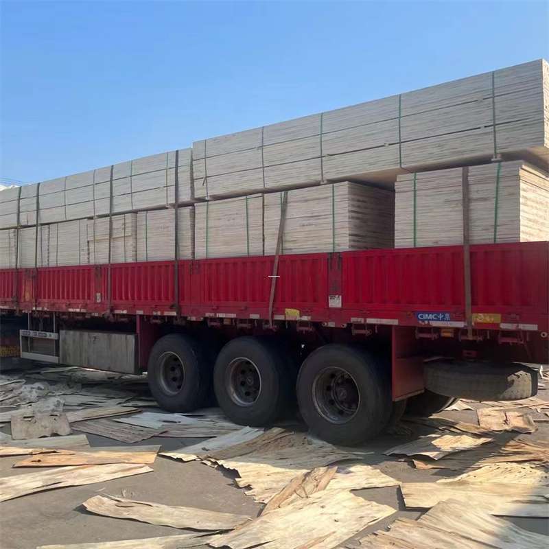 上林县探寻会东县进仓物流的多元运输奥秘